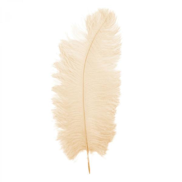 Feather Products | Ostrich Feather 23" 10Pc/Bag – Ivory Feather Products Feather Products