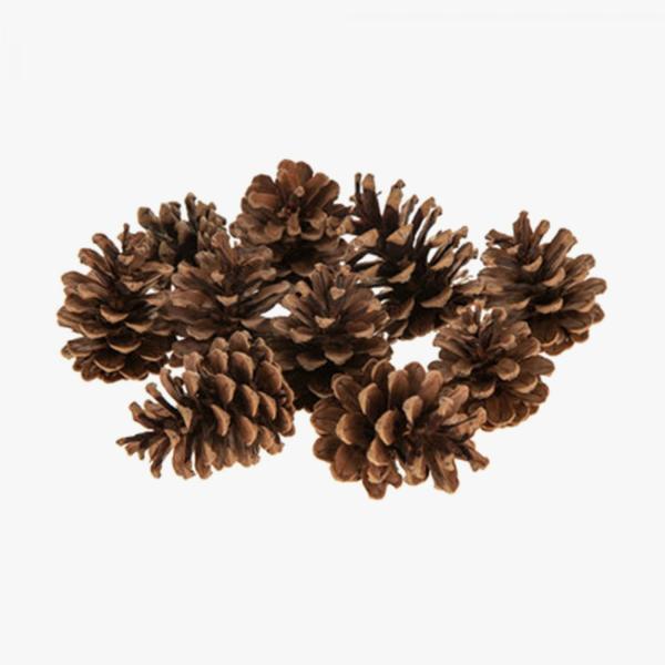 Vase Fillers | Natural Large Pine Cones 10Pc/Bag Tabletop Decor & Centerpieces Vase Fillers